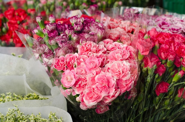 wholesale carnations