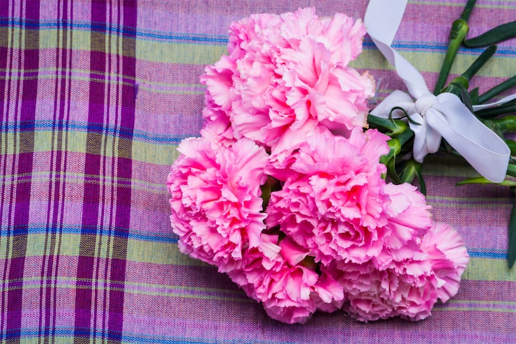wholesale carnations